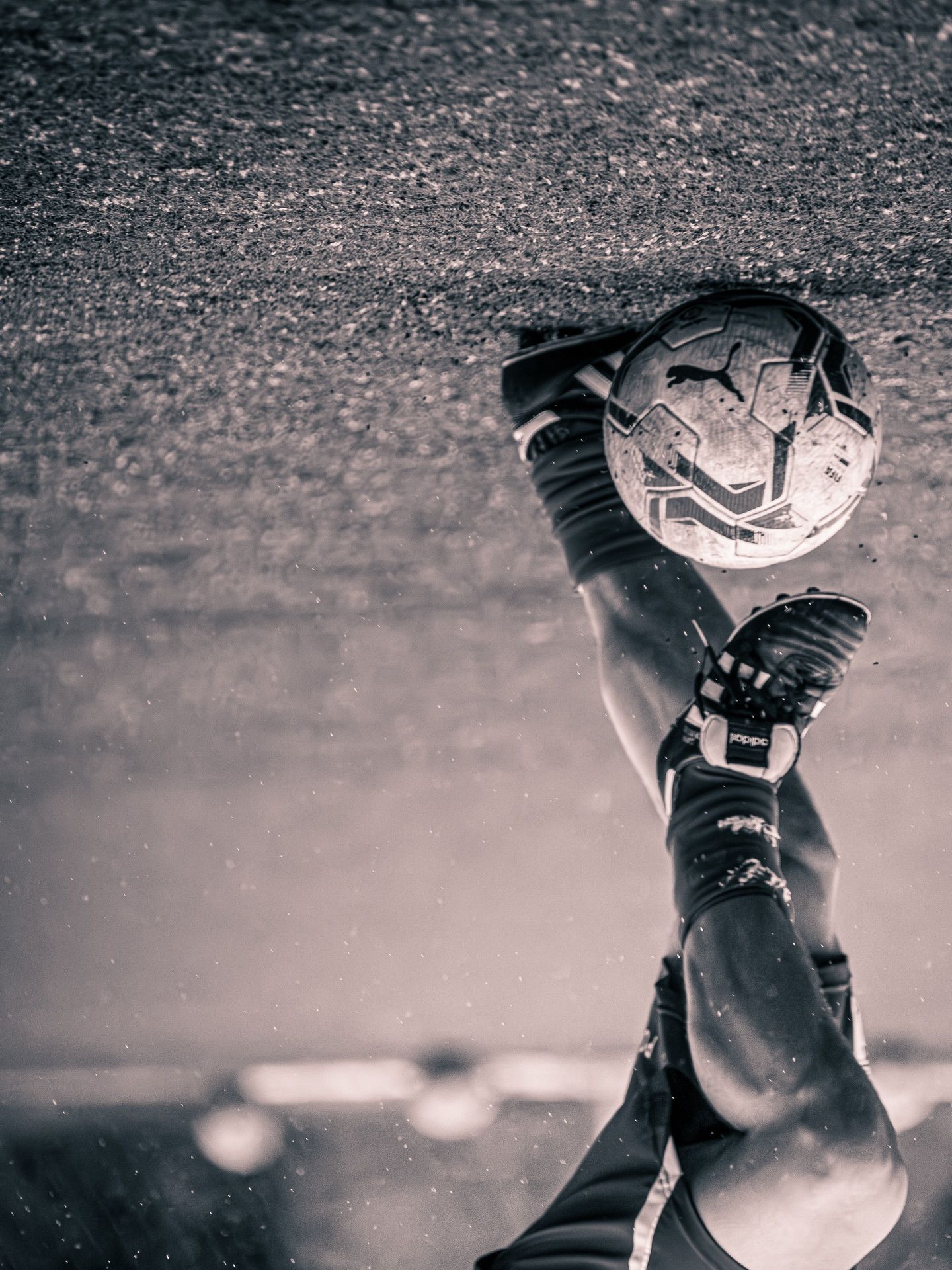 Cantera SD Ponferradina · Fútbol base · 89 Studio
